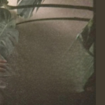 Imagen promocional de una reseña del documental RM: Right People Wrong Person publicada por el blog Bangtan Now. A la izquierda, aparece RM (Namjoon), integrante de BTS, en una fotografía de tonos cálidos y nostálgicos, con expresión introspectiva, los brazos cruzados y parcialmente cubierto por hojas de plantas grandes. A la derecha, sobre un fondo marrón oscuro, se lee el texto: “RESEÑAS | BANGTAN NOW” seguido por el título destacado: “DOCUMENTAL – RM: RIGHT PEOPLE WRONG PERSON”, en letras blancas con estilo moderno. La imagen refleja un tono reflexivo y personal, en línea con el enfoque del documental.