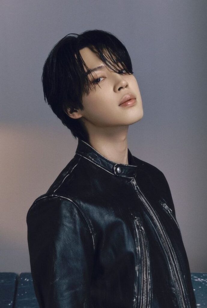 perfil park jimin perfil park jimin