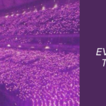 A stunning stadium filled with a purple ocean of lights held by BTS fans, symbolizing the strength and unity of the Army BTS fandom. On the right side, a dark purple panel features the Bangtan Now logo and the headline: “ARTICLES – ARMY BTS – EVERYTHING ABOUT THE FANDOM THAT CONQUERED THE WORLD.” This image celebrates the global presence and emotional power of Army BTS, as presented by Bangtan Now.