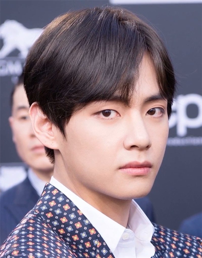 V do BTS em 2019